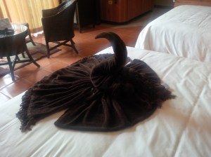 23 Arenal Kioro Elephant from Blanket