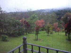 25 Arenal Kioro View 2