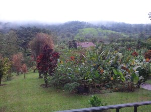 26 Arenal Kioro View 3