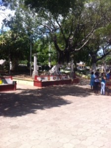 46.5 Park in Santa Cruz