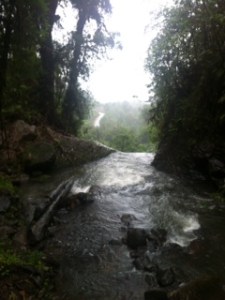 6 Trekking to Waterfall